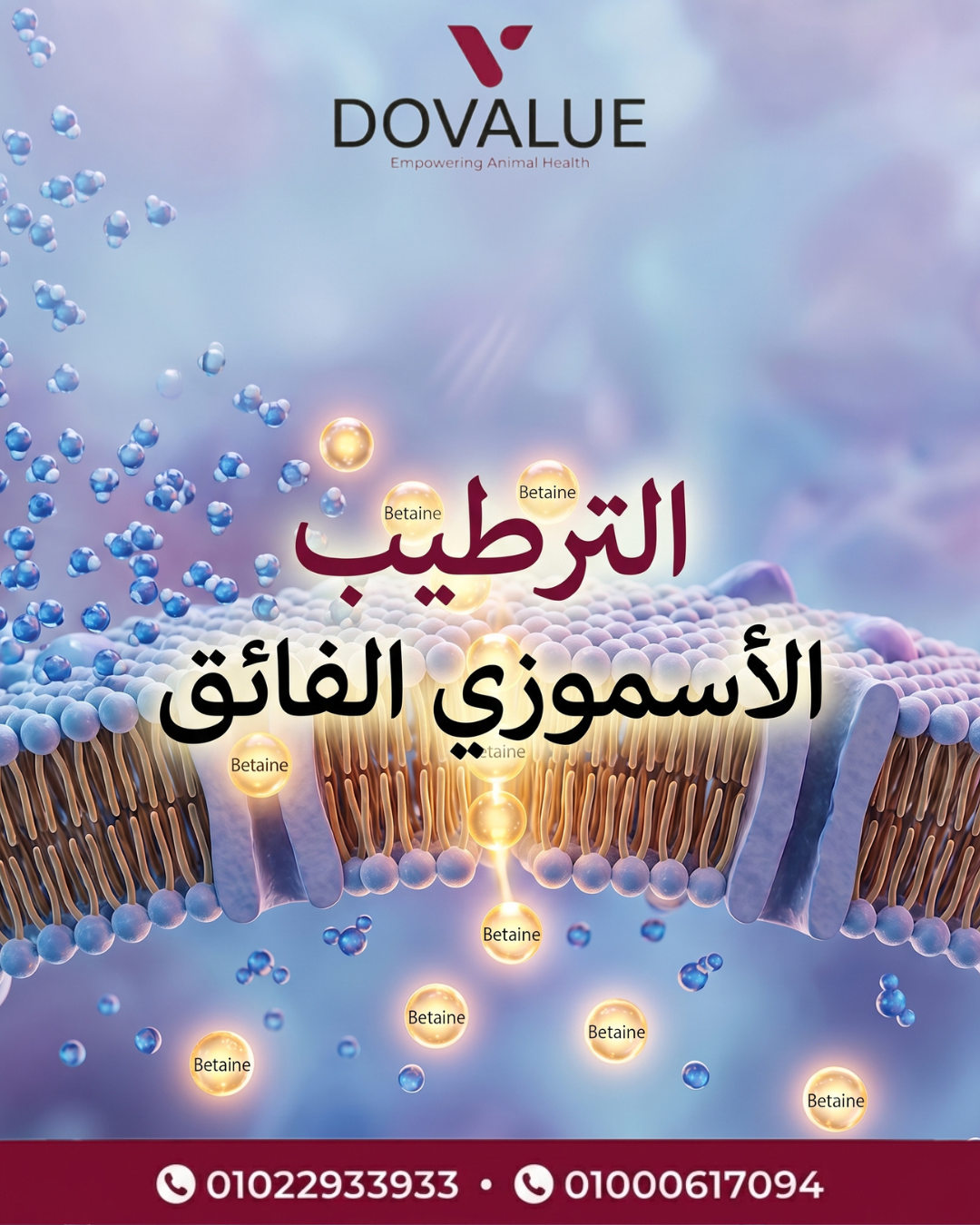 الشريحة 2